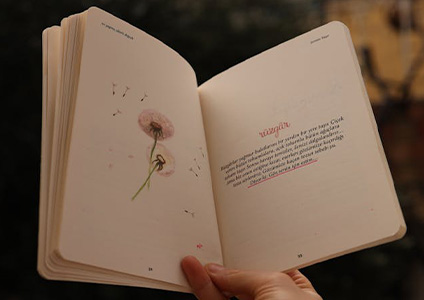 Illustrations